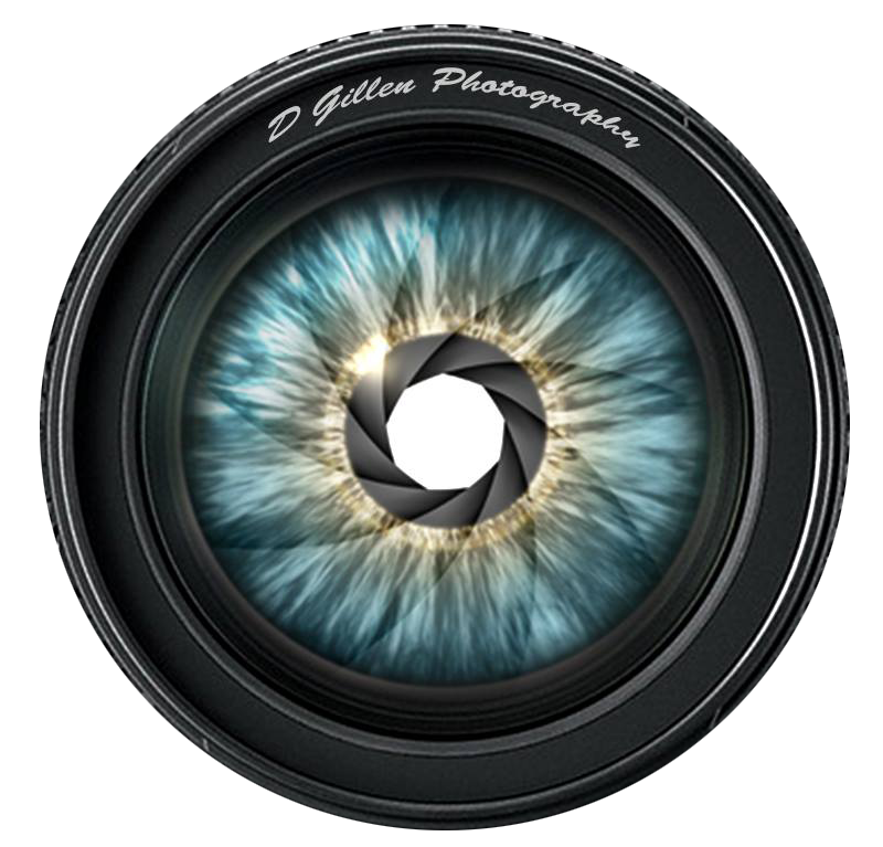 DGillen Photograhy